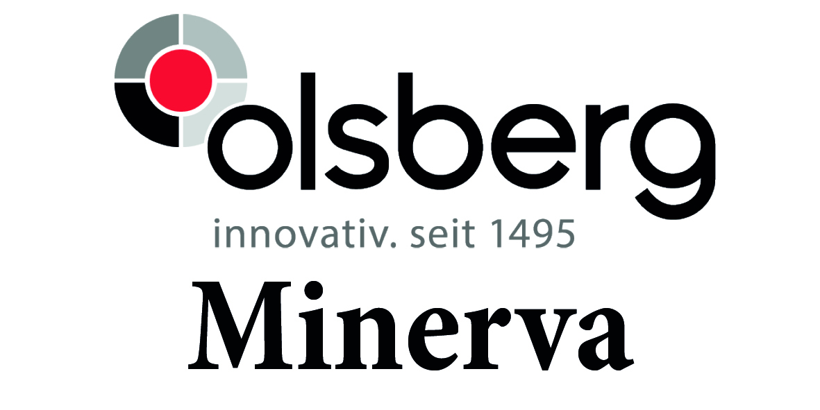 Olsberg Abgasventilator mit Kabelung + Kondensator für Minerva und Libera
